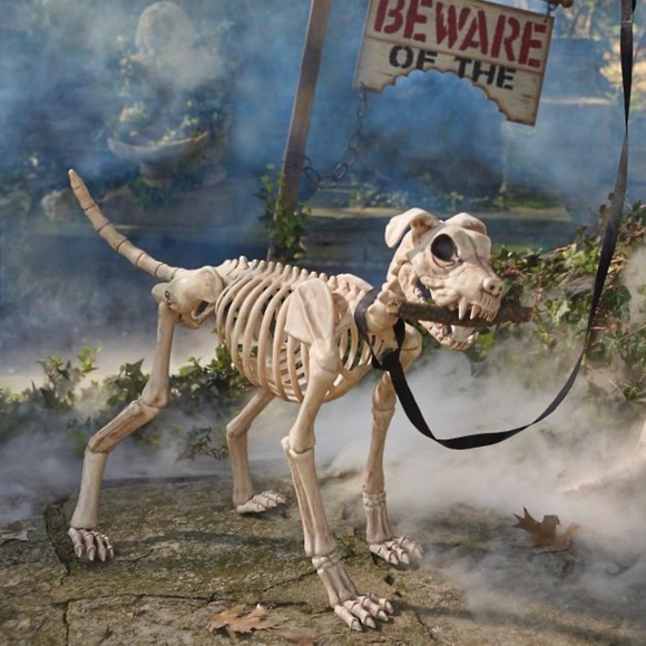 Grandin Road Shadow the Skeleton Dog on Leash large - Picture 2 of 9